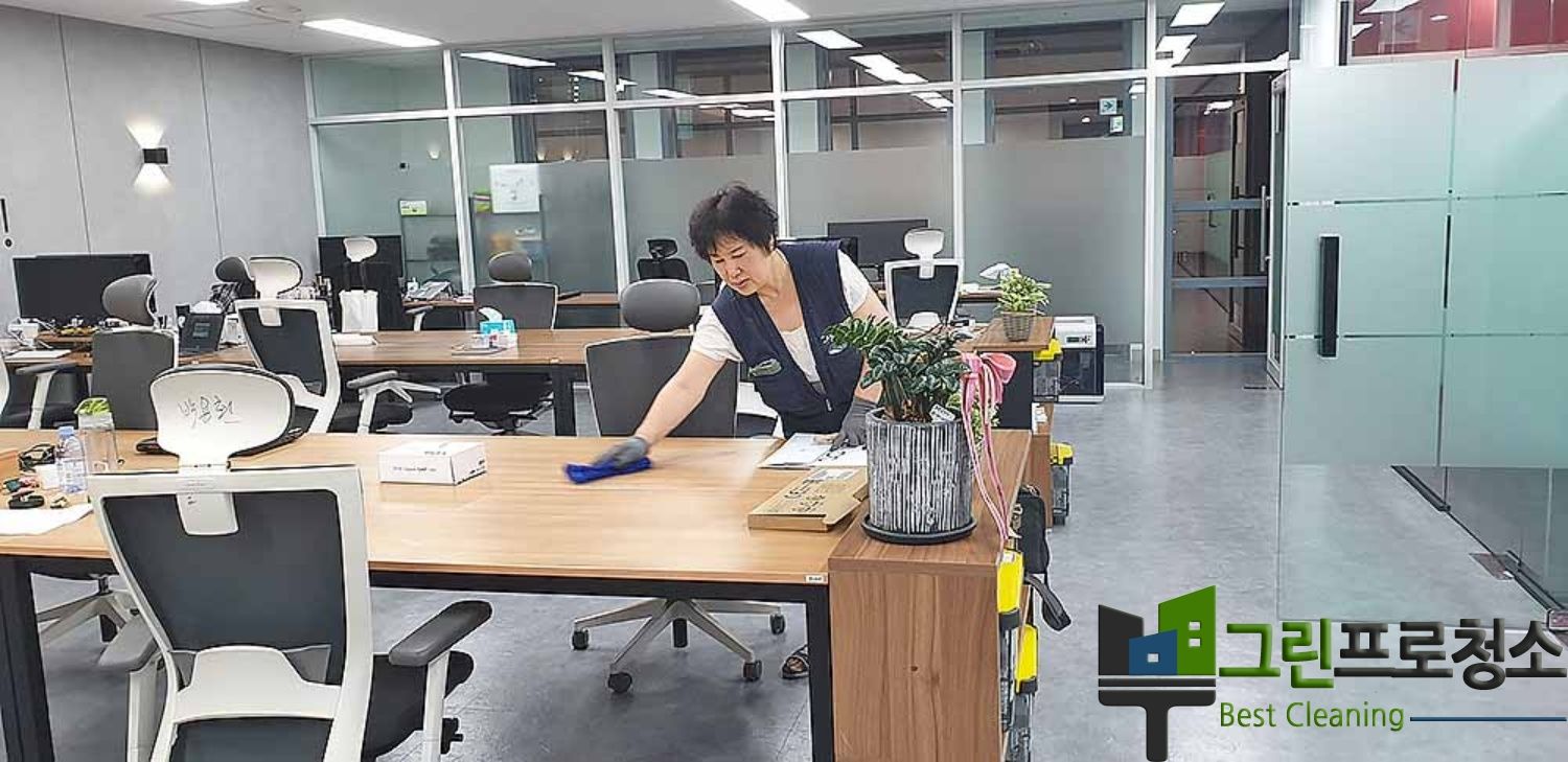 청소 전문가 활동 사진